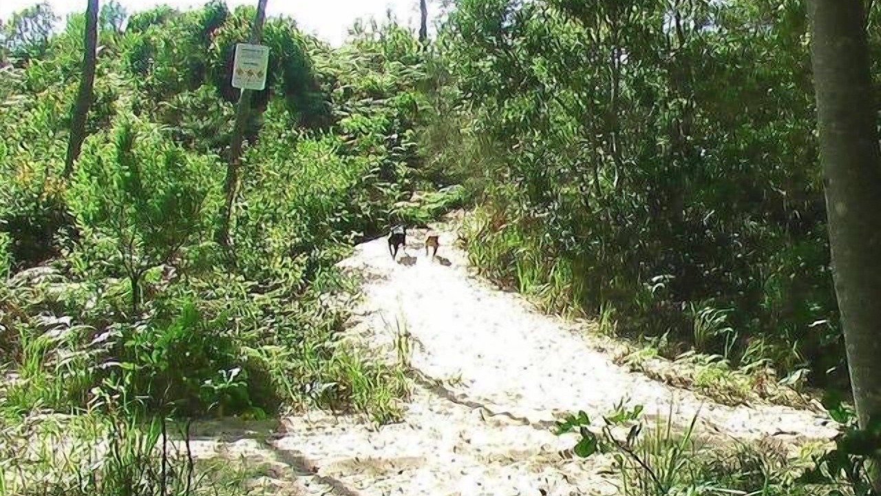 Photo of Outdoor in Hyland Park