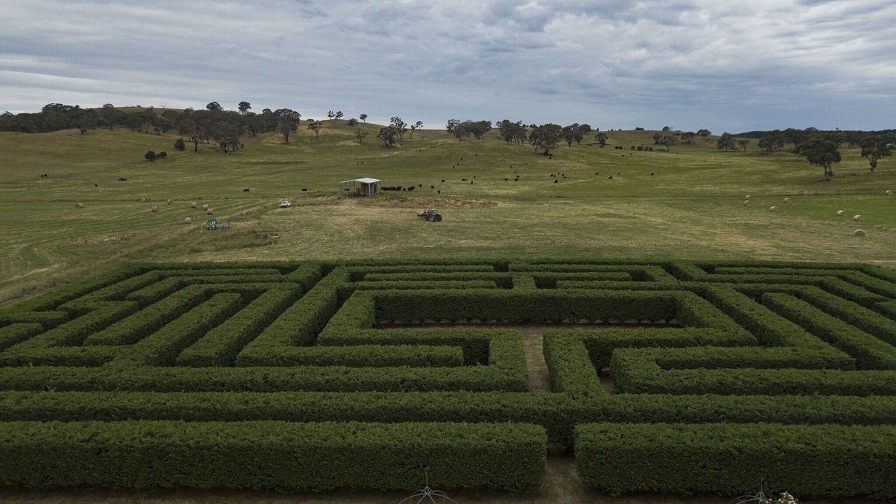 Photo of Others in Central Tablelands