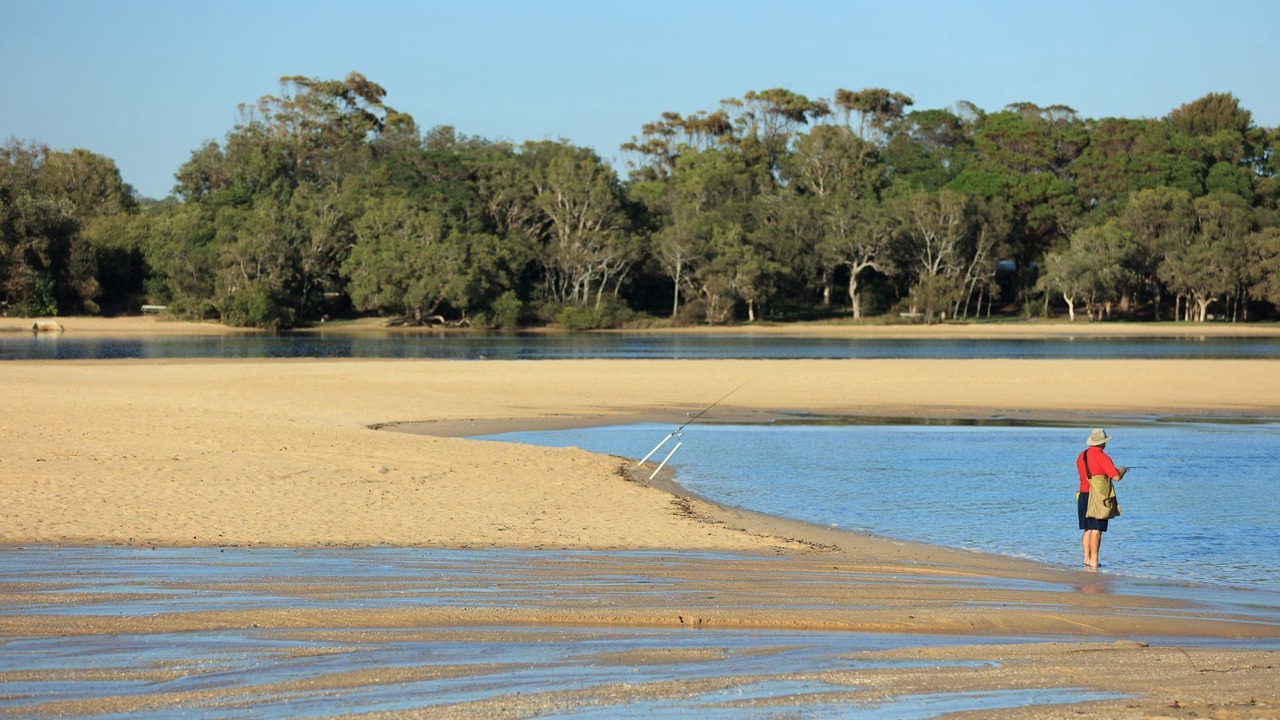 Photo of Others in Currimundi