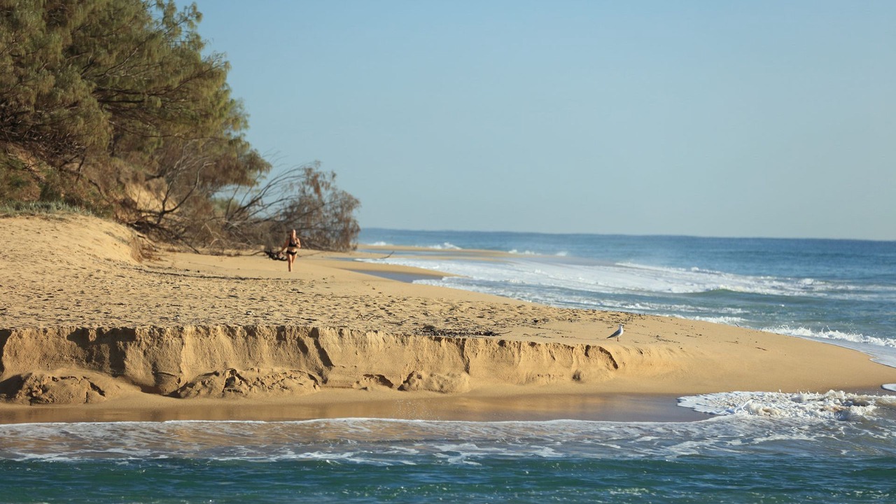 Photo of Others in Currimundi