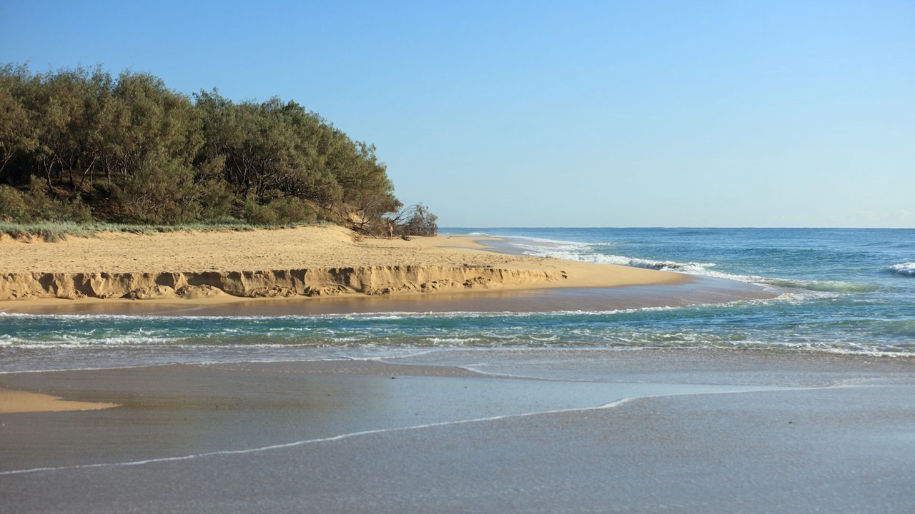 Photo of Others in Currimundi