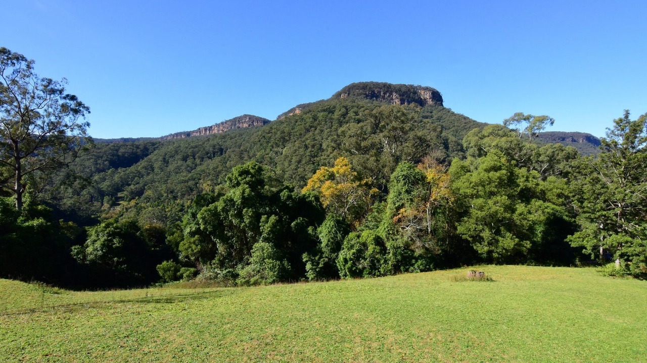 Photo of Others in Upper Kangaroo Valley