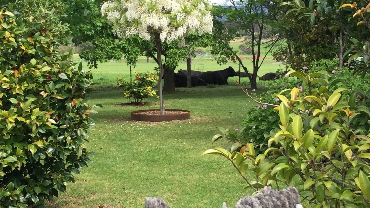 Photo of Outdoor in Kangaroo Valley