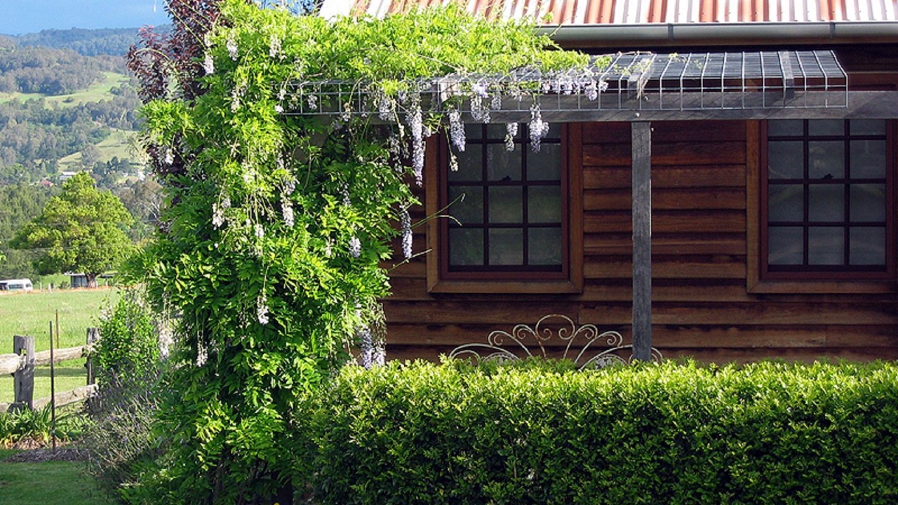 Photo of Outdoor in Kangaroo Valley