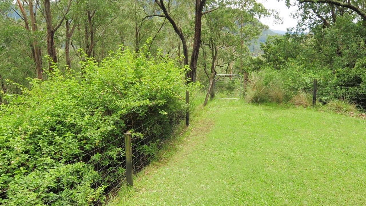 Photo of Outdoor in Upper Kangaroo River
