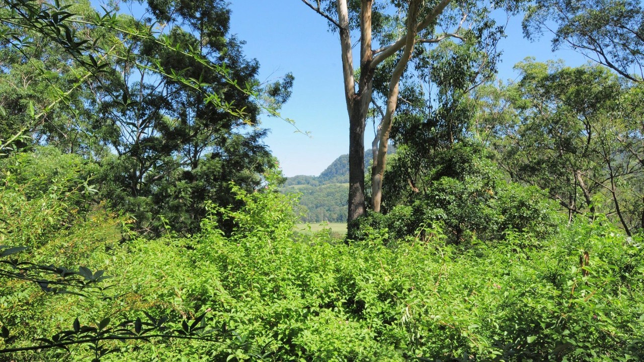 Photo of Outdoor in Upper Kangaroo River