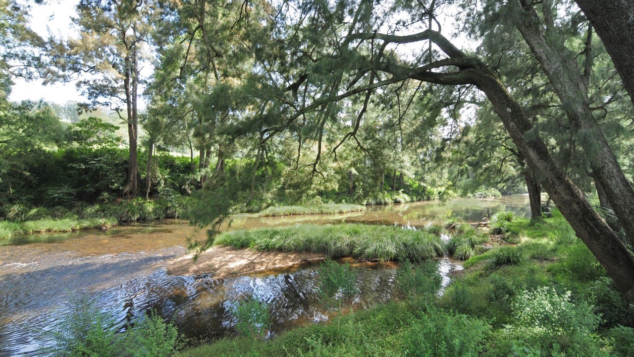 Photo of Outdoor in Upper Kangaroo River