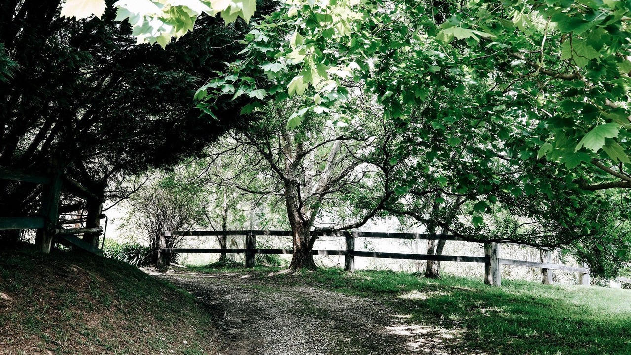Photo of Outdoor in Upper Kangaroo River