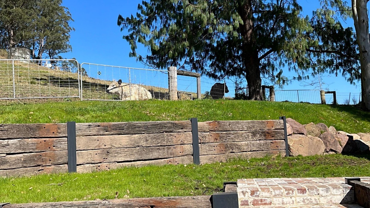 Photo of Outdoor in Upper Kangaroo River