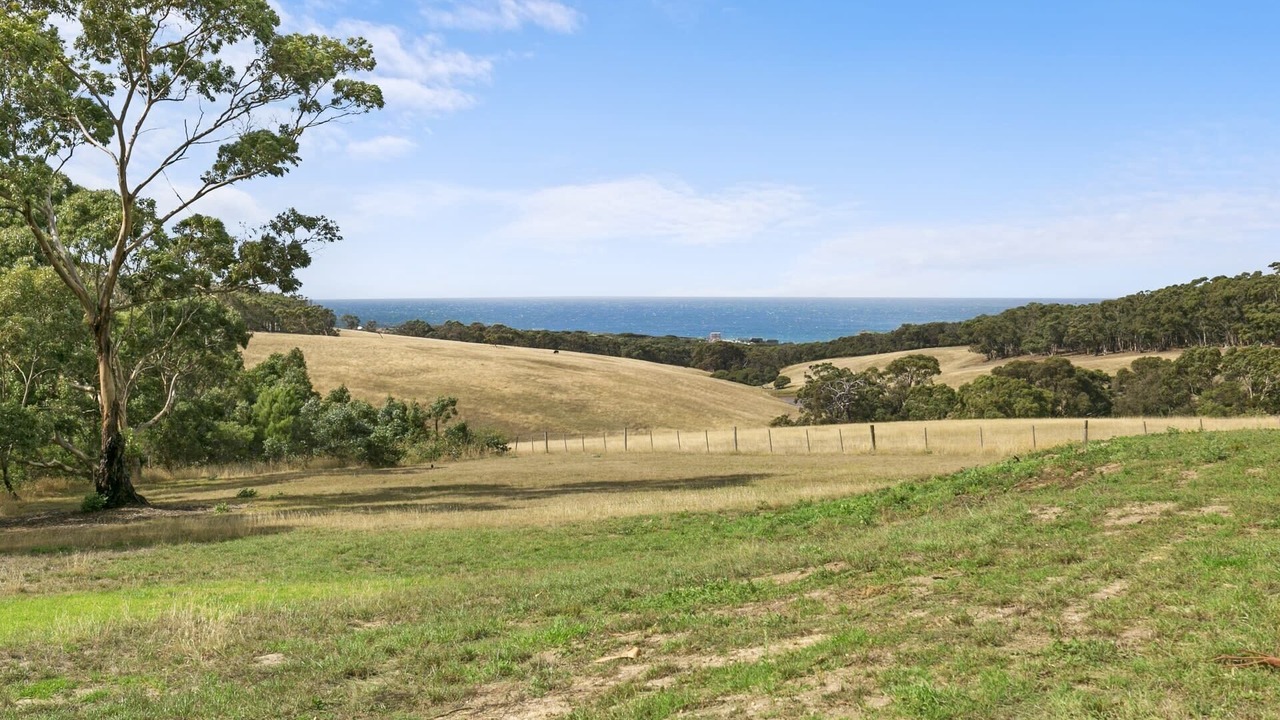 Photo of Others in Bells Beach
