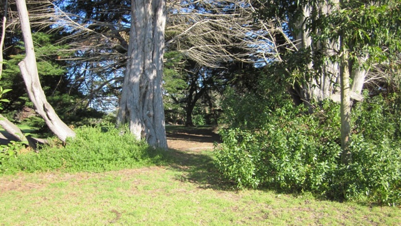 Photo of Outdoor in Cowes