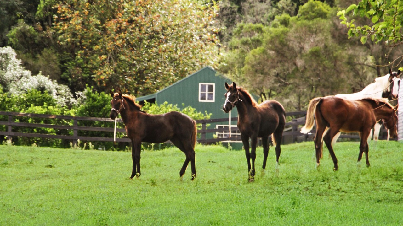 Photo of Outdoor in Berry Mountain