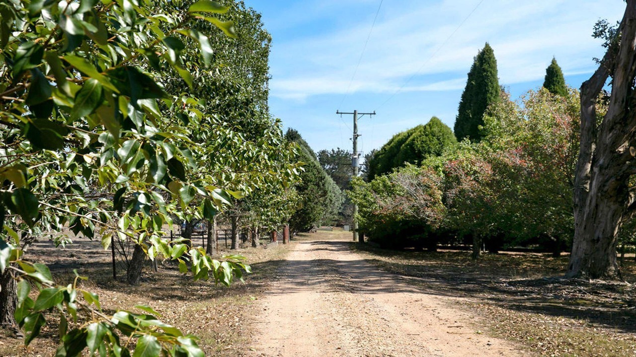 Photo of Outdoor in Berrima