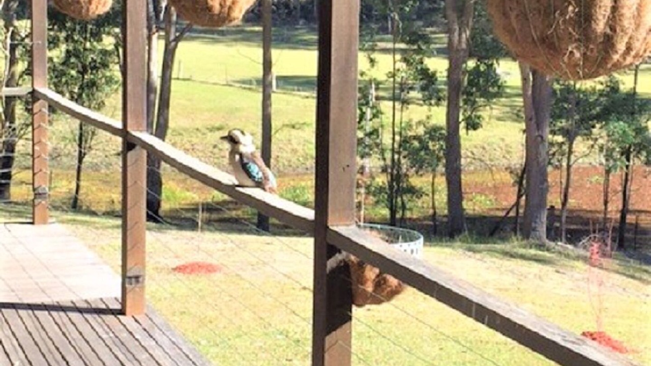 Photo of Others in Wollombi