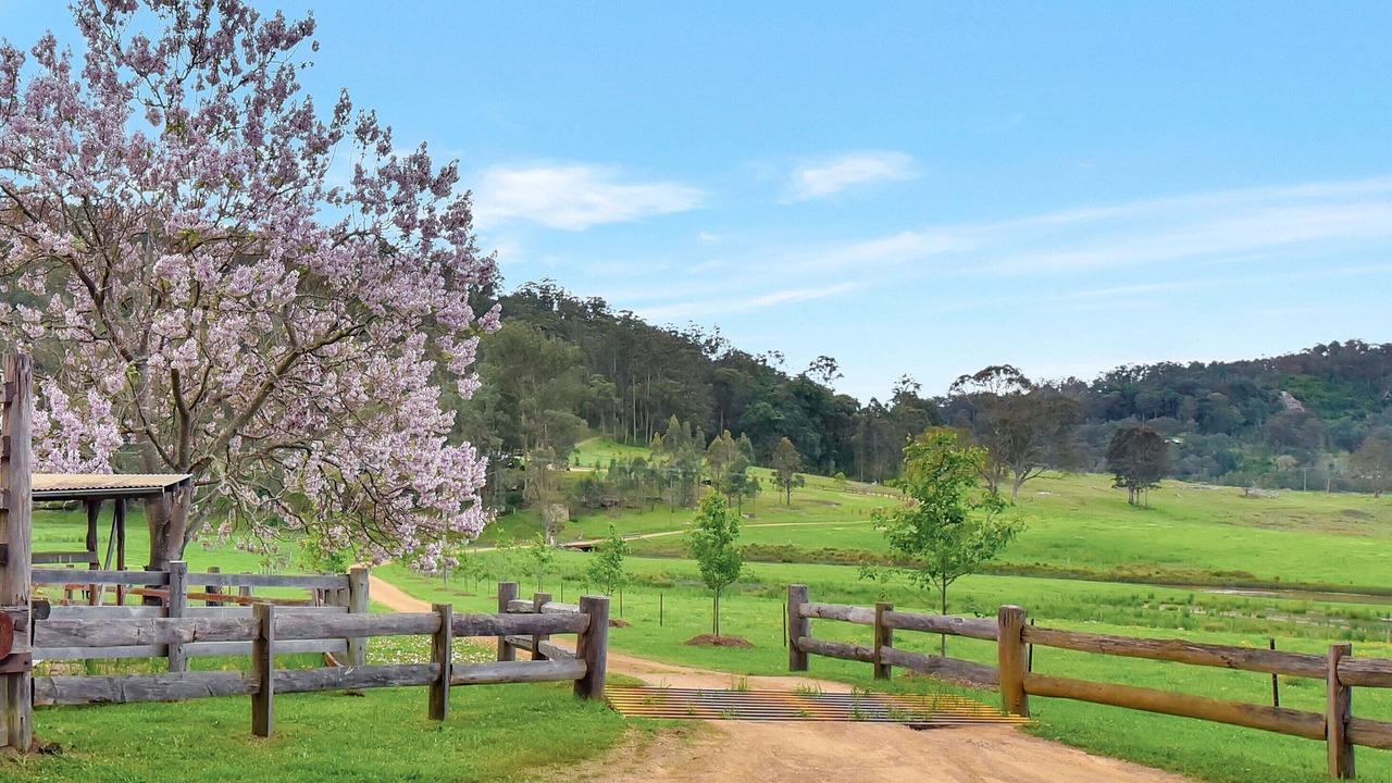 Photo of Outdoor in Wollombi