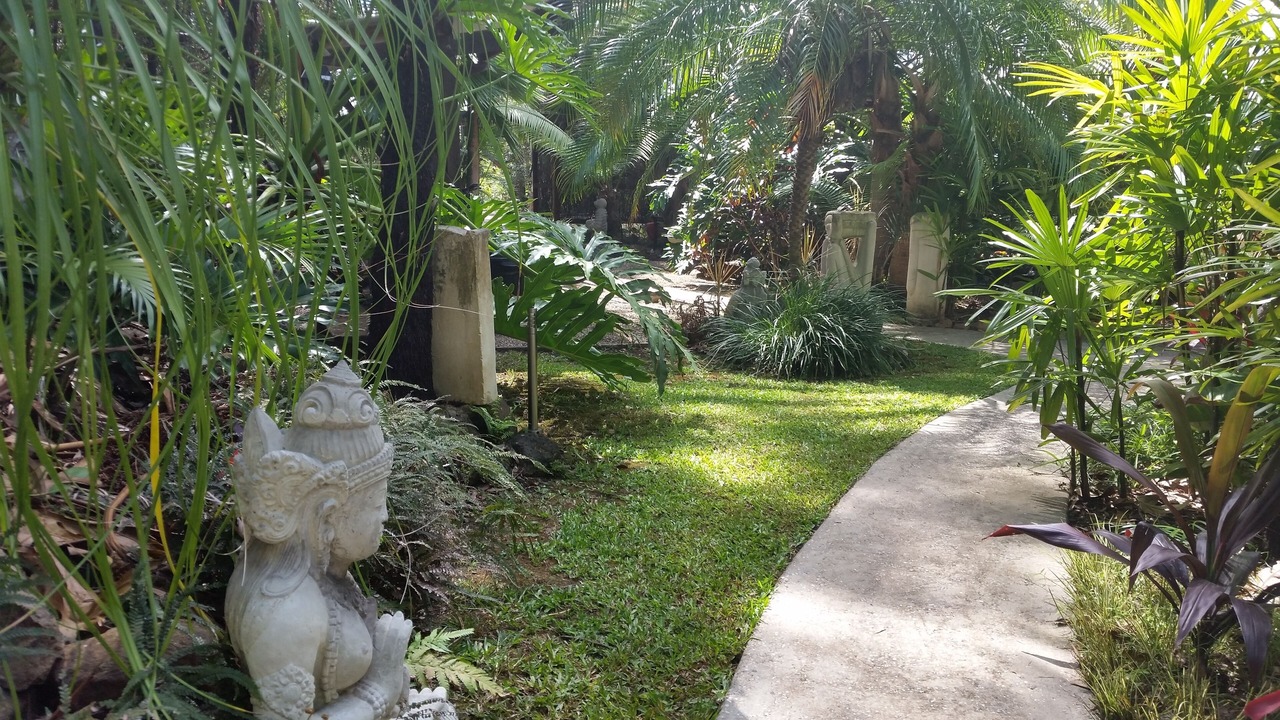 Photo of Outdoor in Eudlo