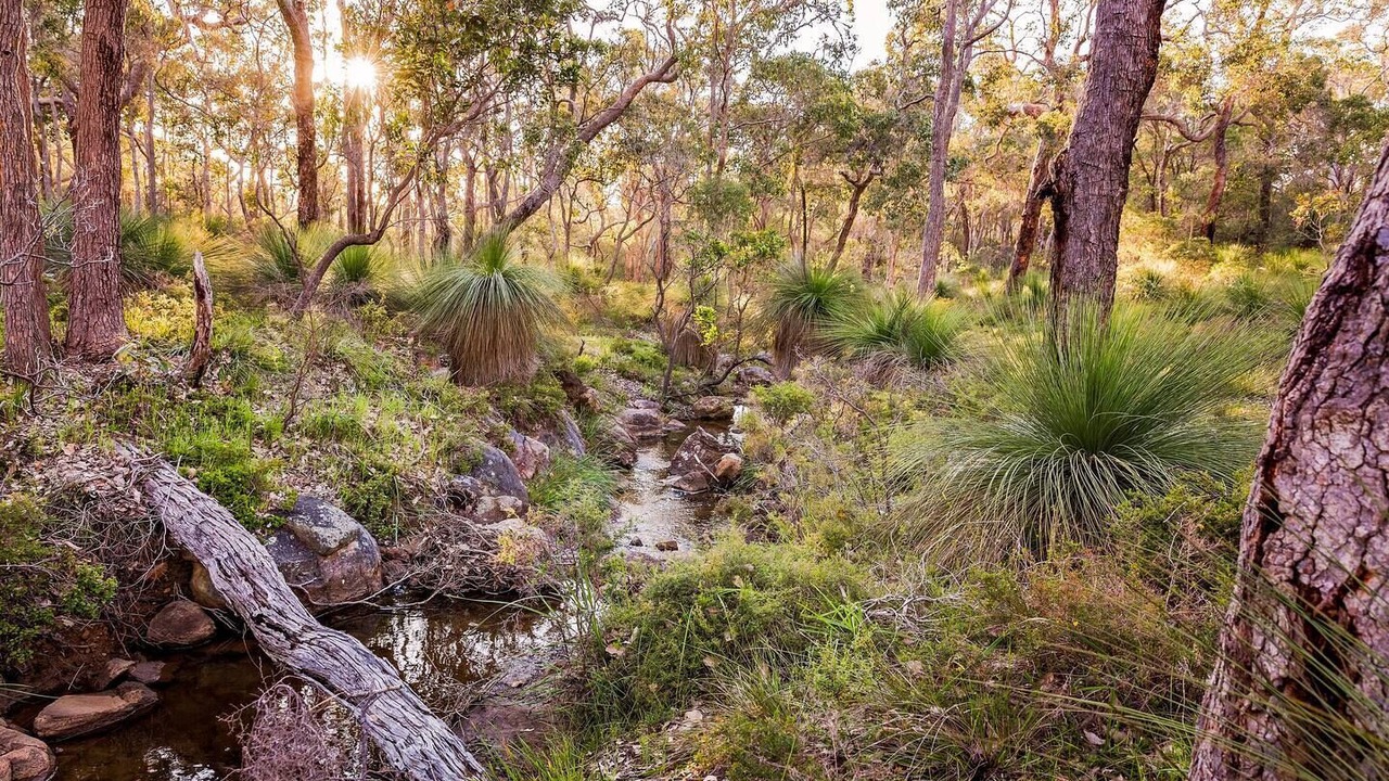 Photo of Others in Yallingup