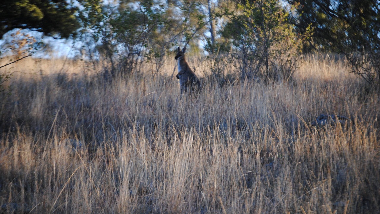 Photo of Outdoor in Matheson