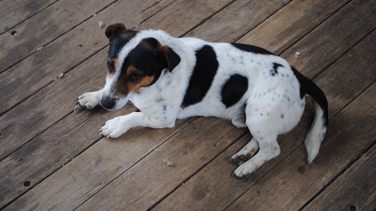Photo of Others in Matheson