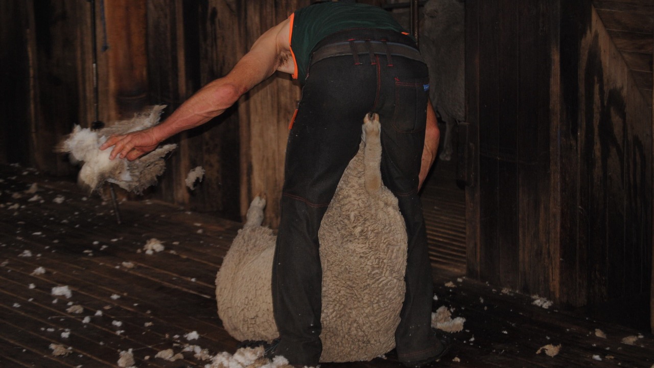 Photo of Others in Matheson