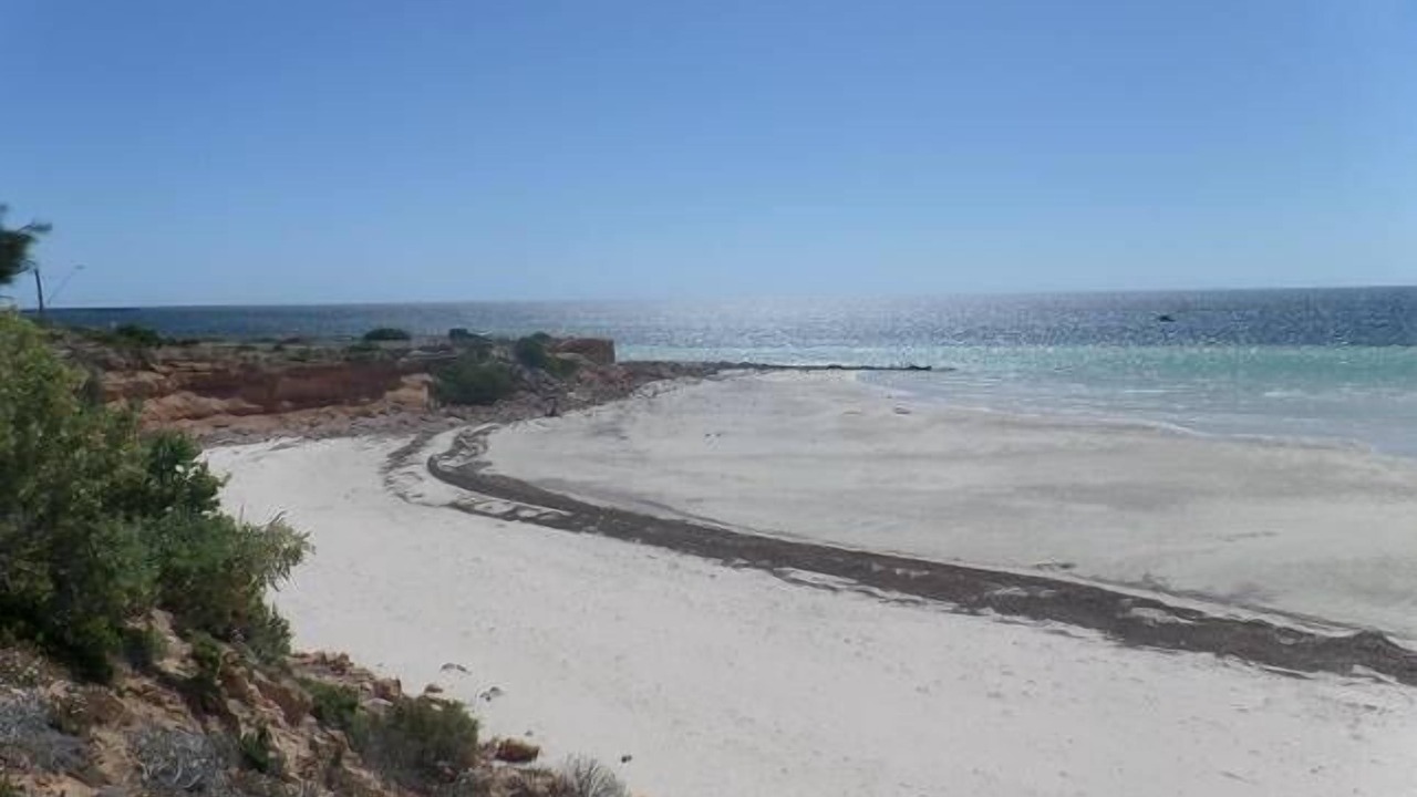 Photo of Others in Moonta Bay