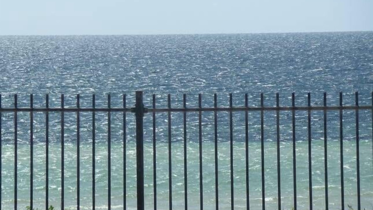 Photo of Others in Moonta Bay