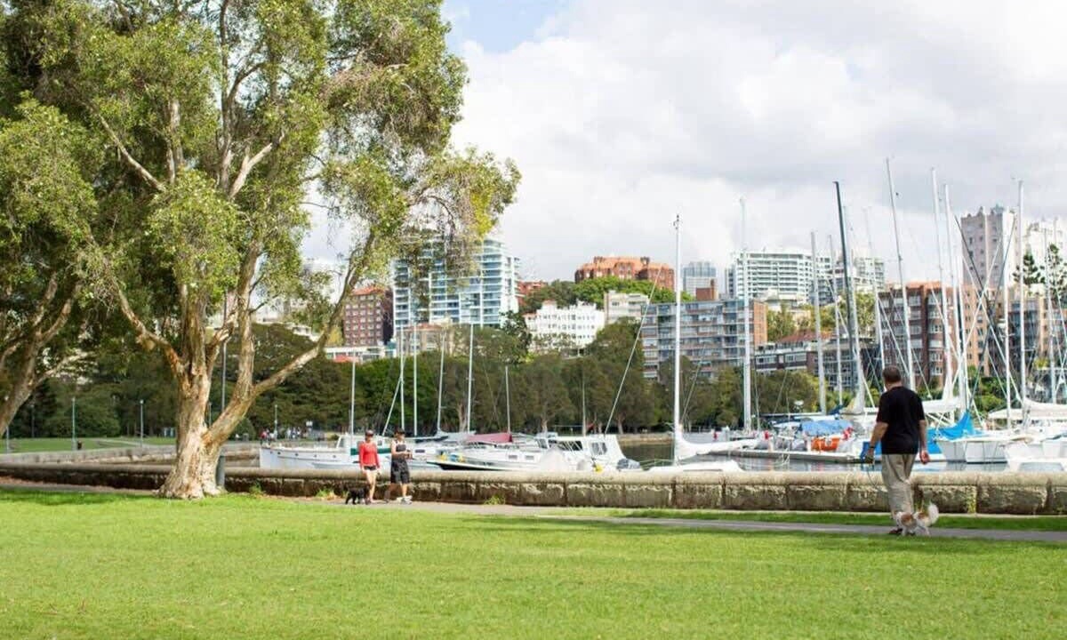 Photo of Others in Elizabeth Bay
