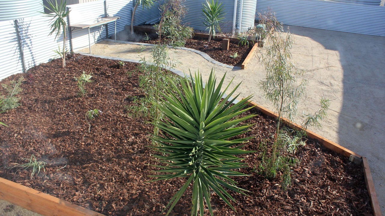 Photo of Outdoor in Para Wurlie
