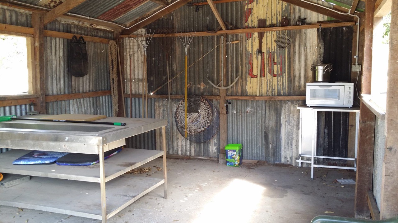 Photo of Others in Port Vincent