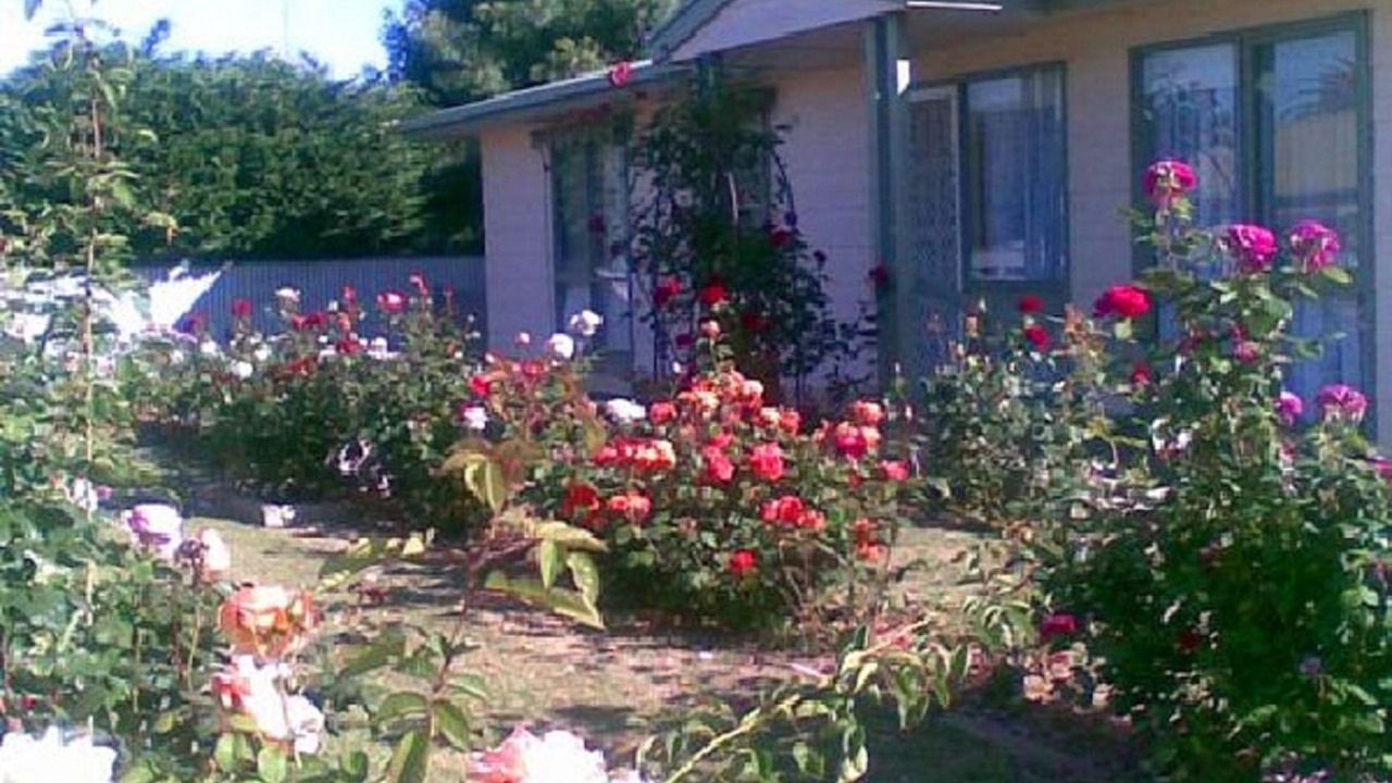 Photo of Outdoor in Port Vincent
