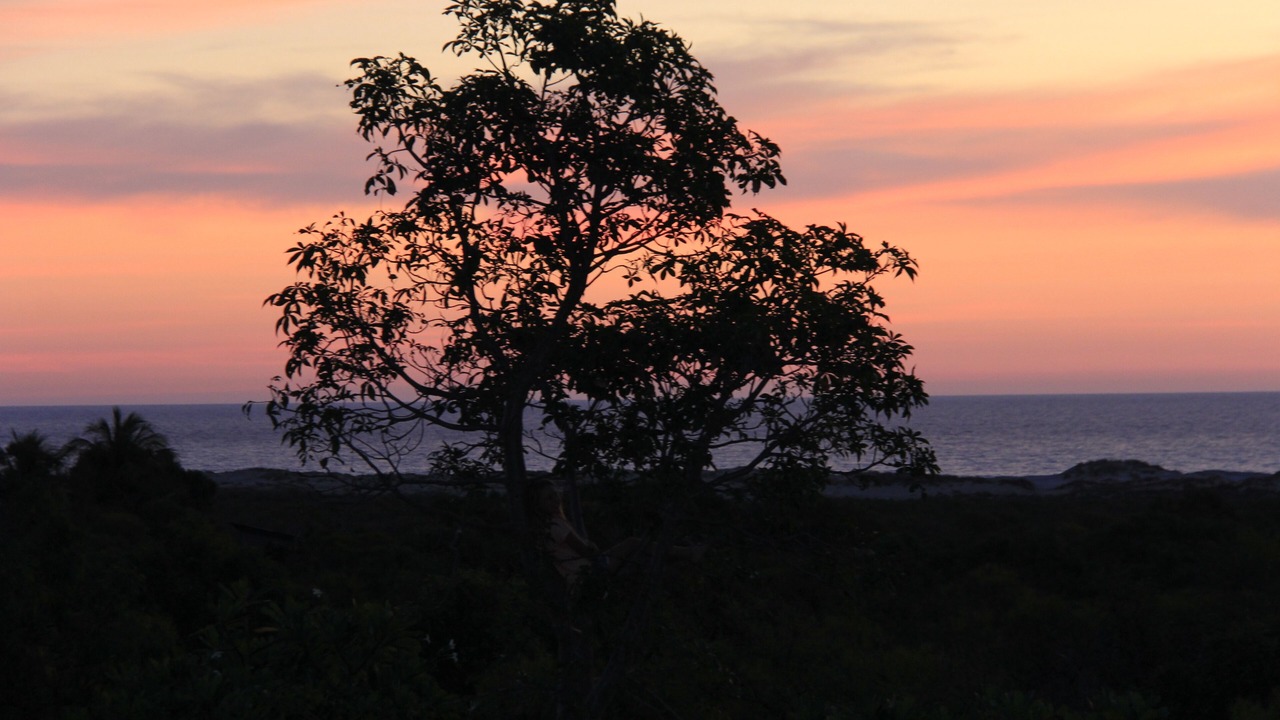 Photo of Others in Broome