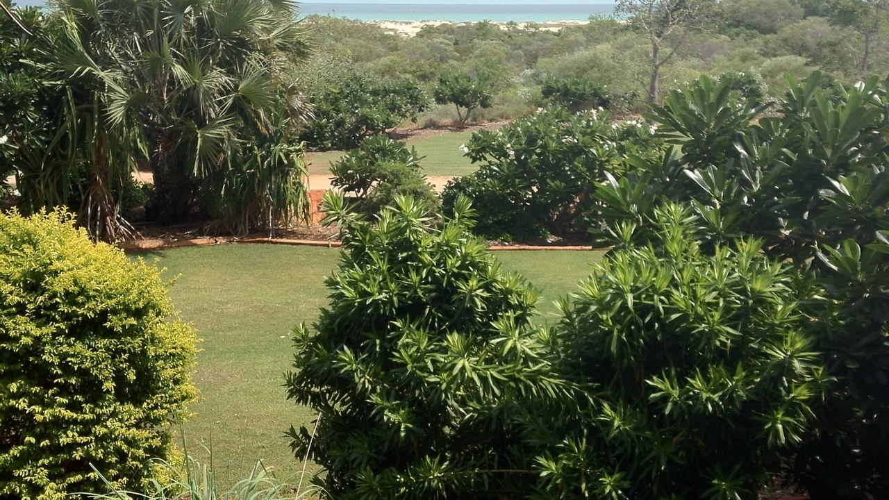 Photo of Outdoor in Broome