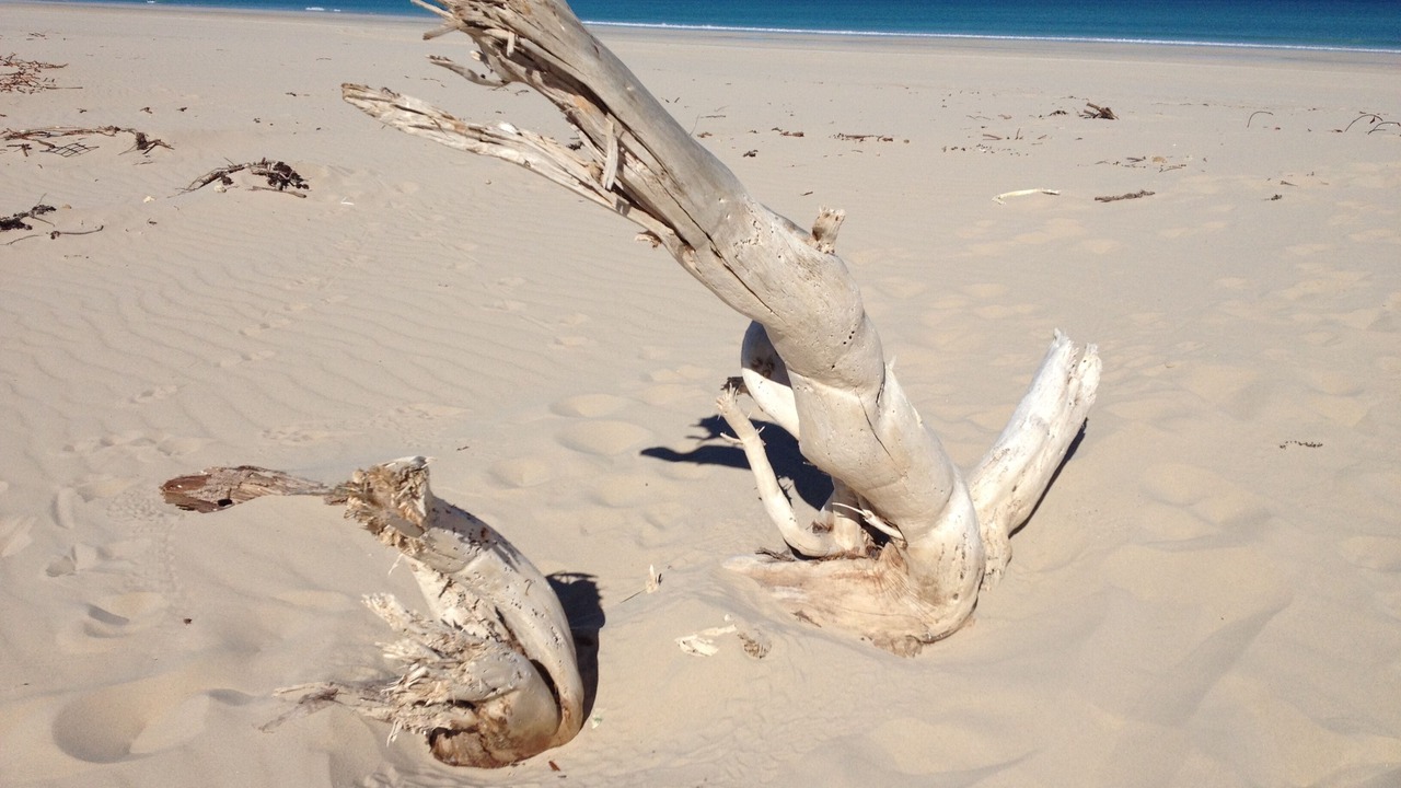 Photo of Others in Broome