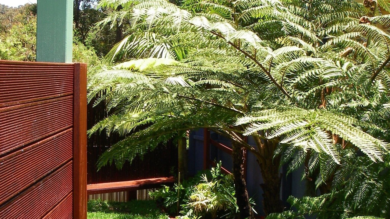 Photo of Outdoor in Lilli Pilli