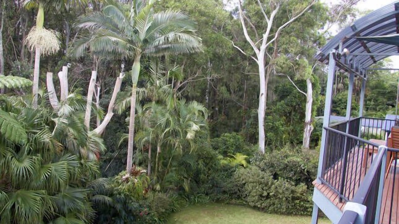 Photo of Outdoor in Red Head