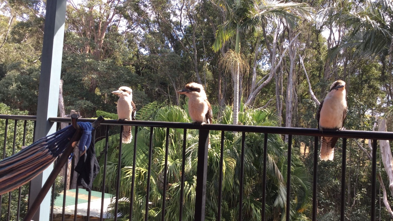 Photo of Patio Balcony in Red Head