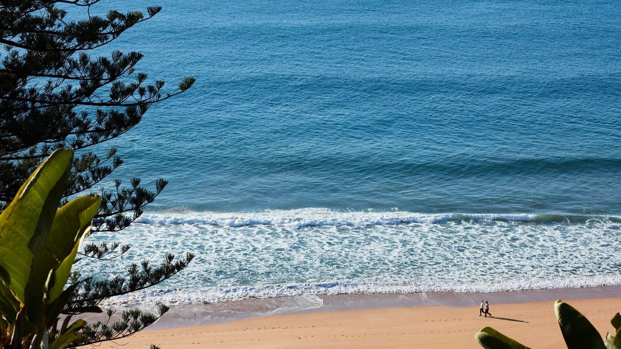 Photo of Others in Palm Beach