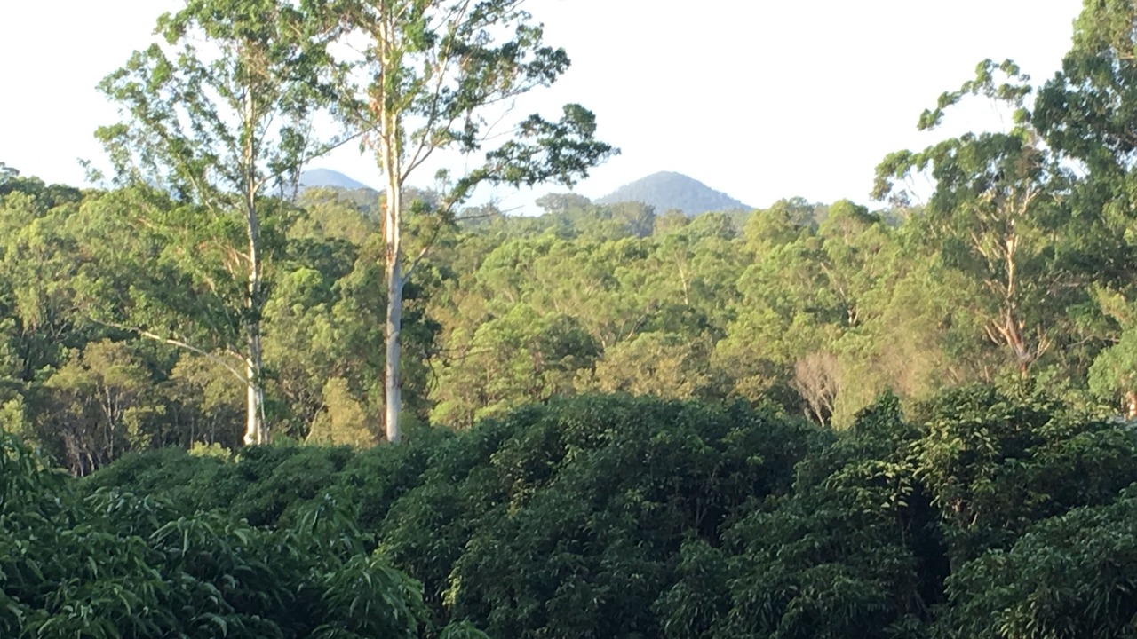 Photo of Patio Balcony in Wamuran