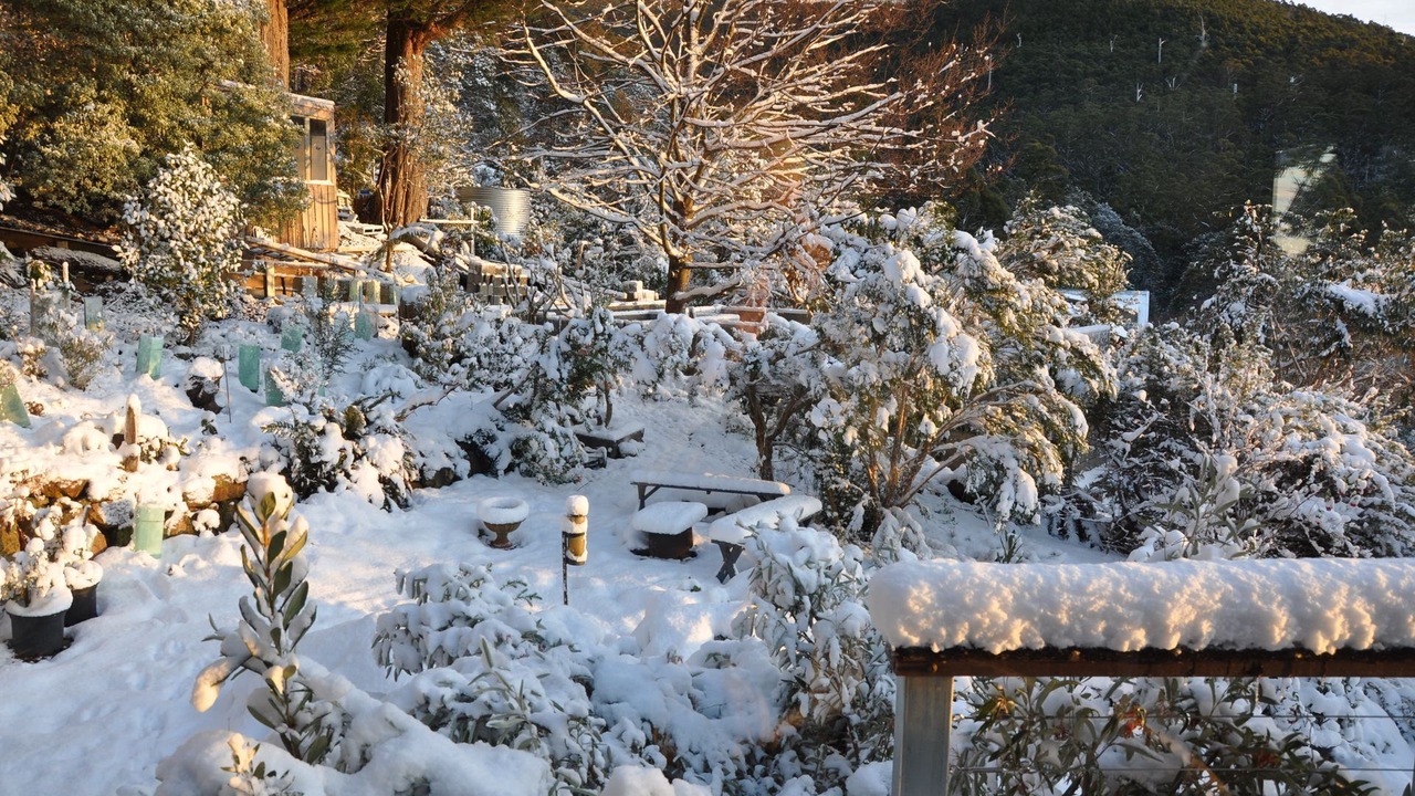 Photo of Outdoor in Fern Tree