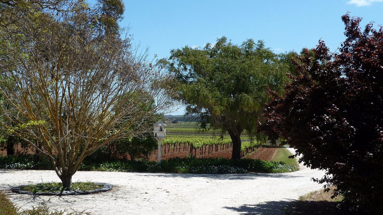 Photo of Outdoor in Penrice