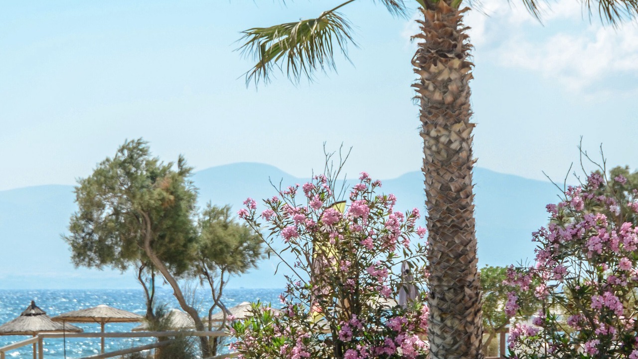 Photo of Outdoor in Plaka