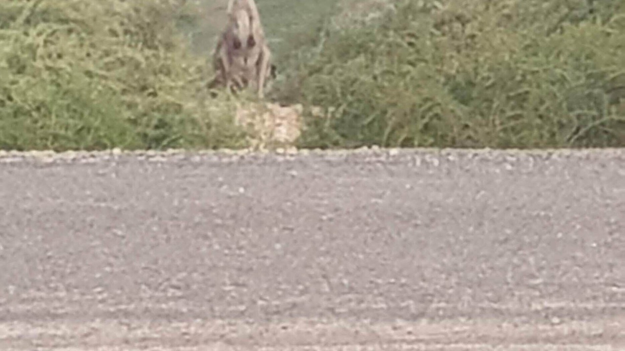 Photo of Others in Morgan