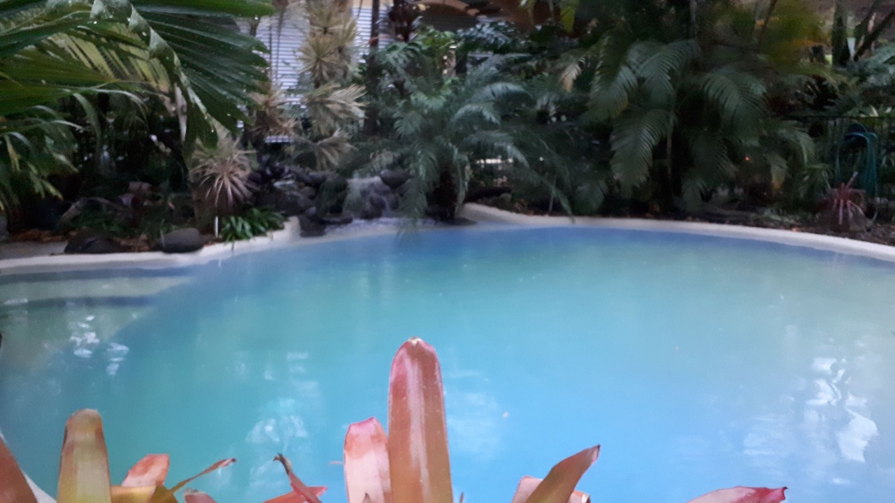 Photo of Outdoor in Eudlo
