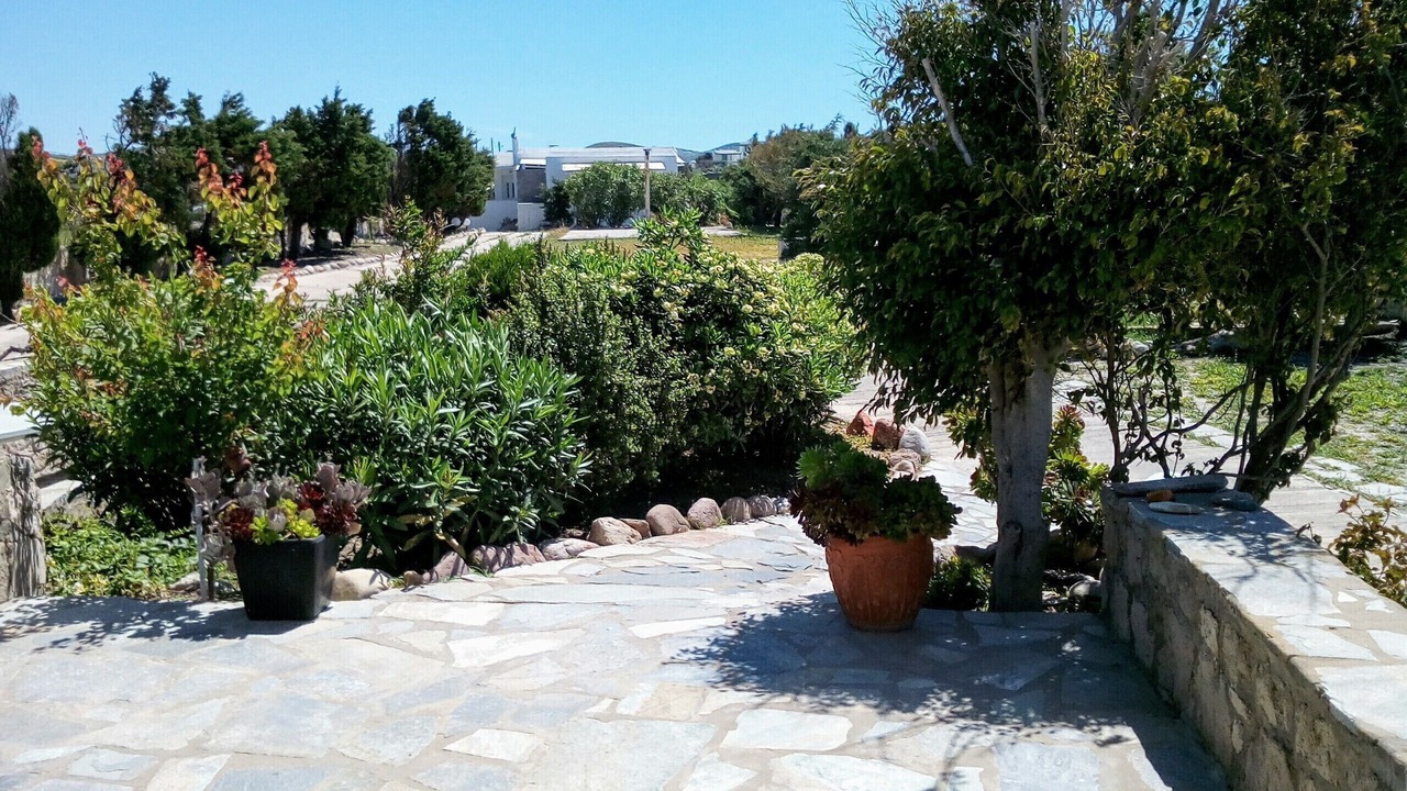 Photo of Others in Adamas