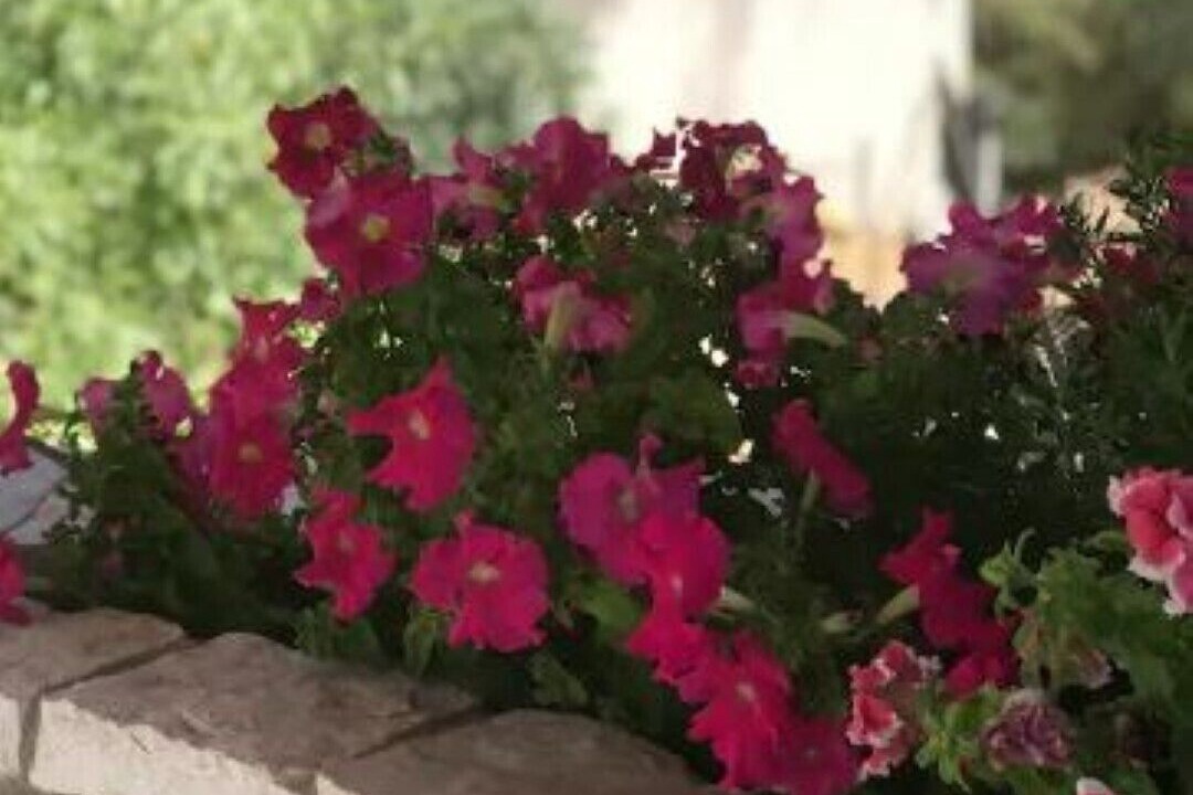 Photo of Outdoor in Loutraki