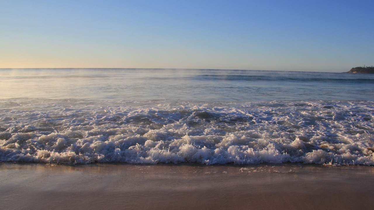 Photo of Others in Narrawallee