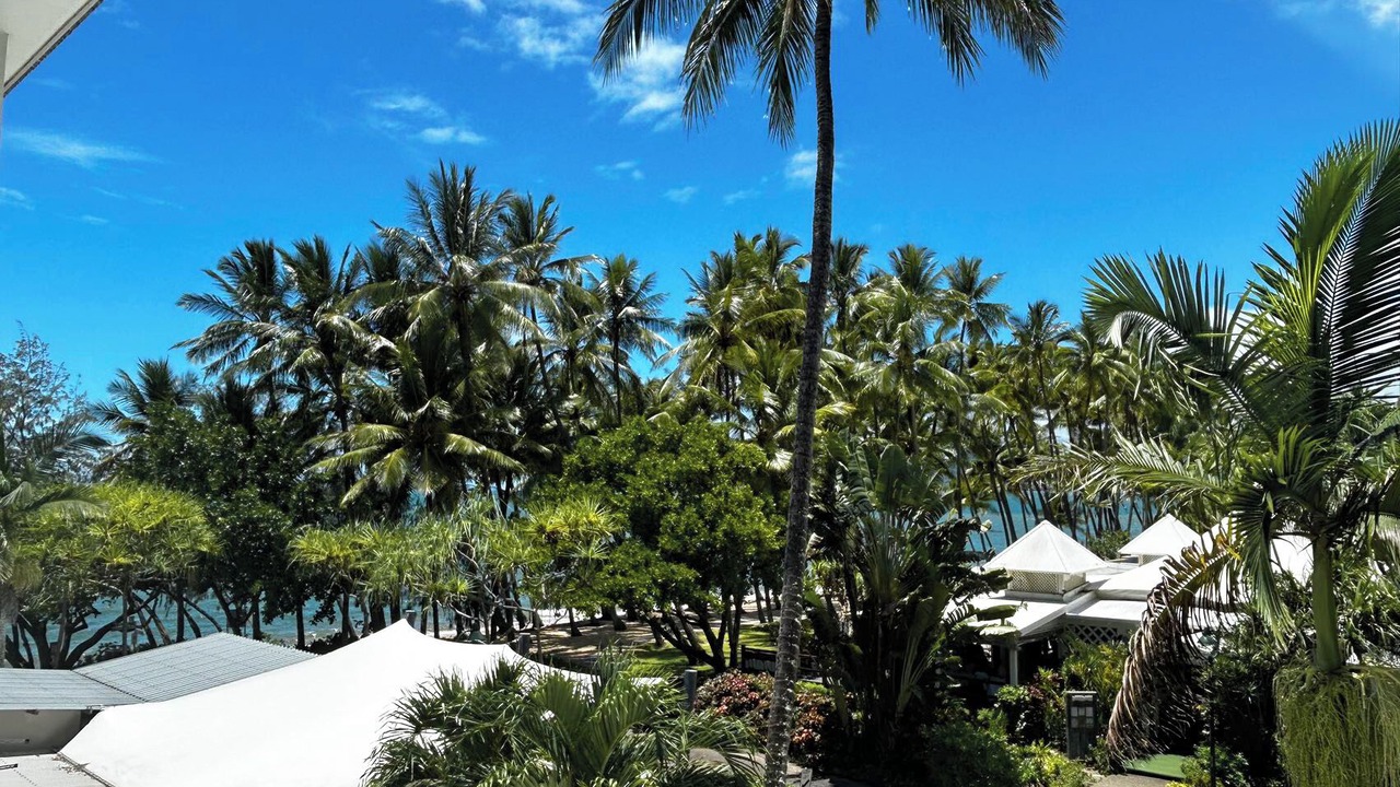 Photo of Others in Palm Cove