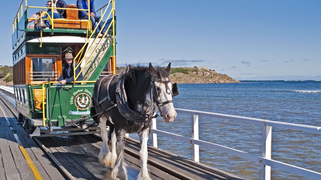 Photo of Others in Victor Harbor