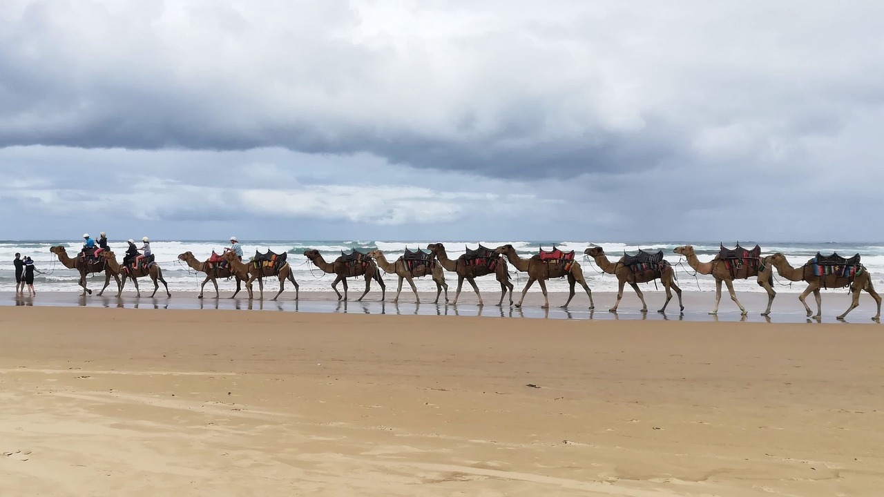 Photo of Others in Anna Bay