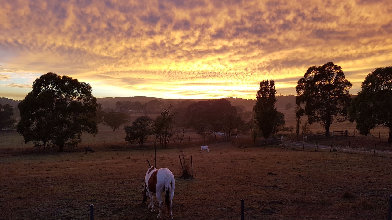 Photo of Outdoor in Oberon